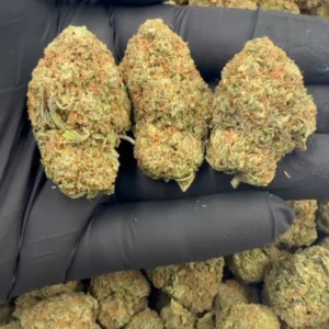 LCG Mixed Lights