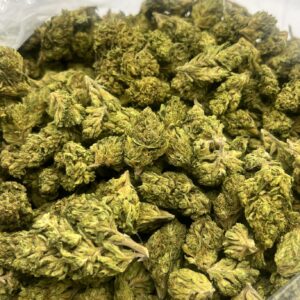 Triangle Kush Outdoor