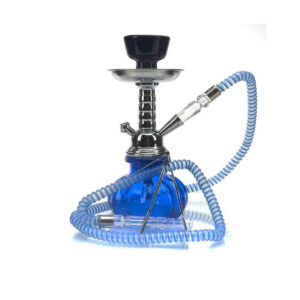Badshah Pumpkin Single Hose Hookah