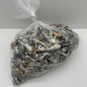 Liberty Caps Mush
