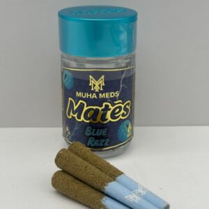 Muha Preroll